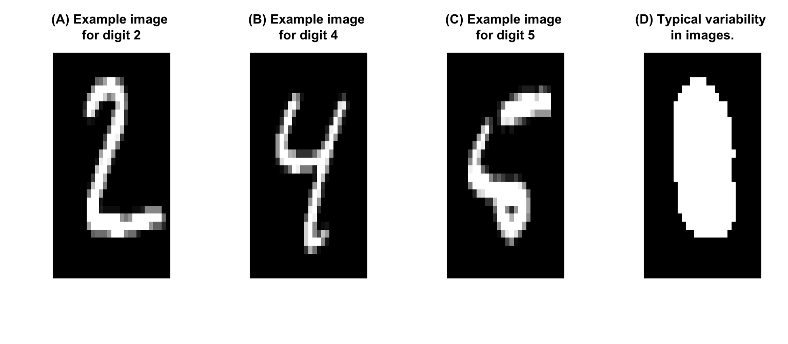 Example images (A)-(C) from our data set and (D) highlights near-zero variance features around the edges of our images.