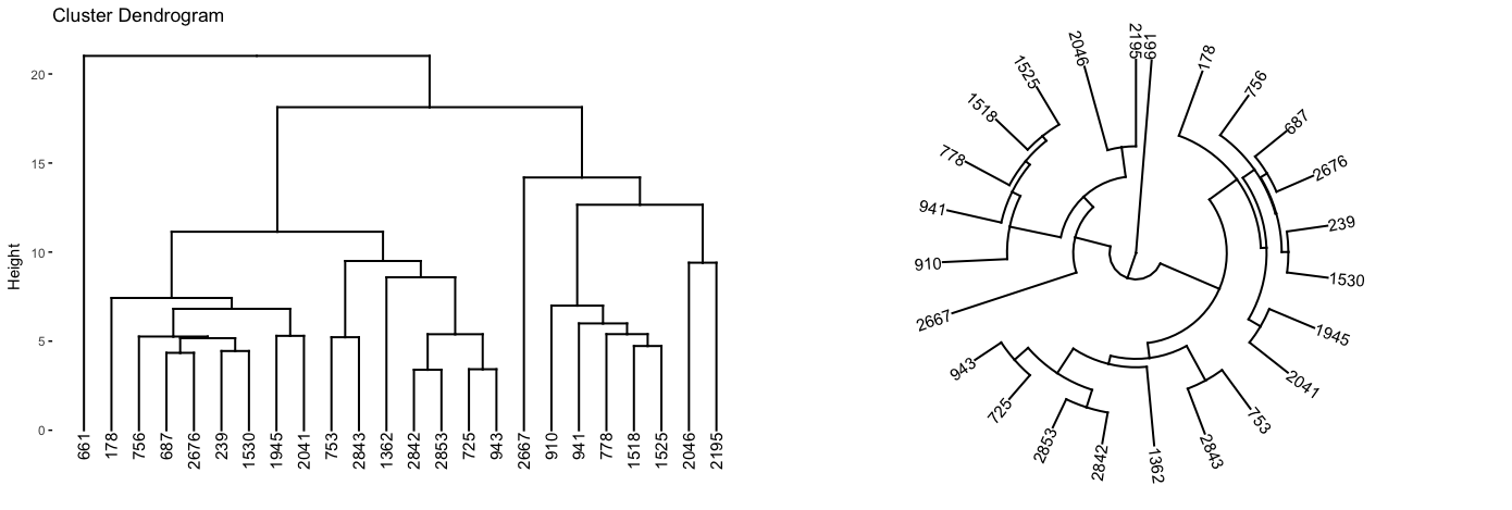 A subsection of the dendrogram highlighting cluster 7.