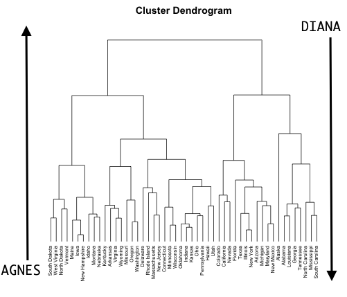AGNES (bottom-up) versus DIANA (top-down) clustering.