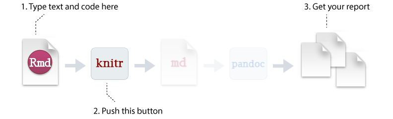 R Markdown generation process that you care about.