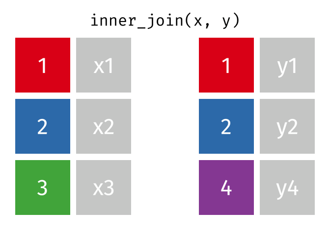 Inner join ([source](https://github.com/gadenbuie/tidyexplain)).