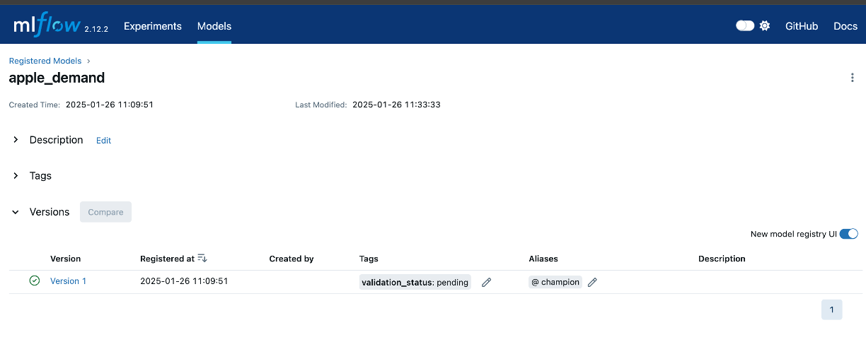 Registered Model Metadata